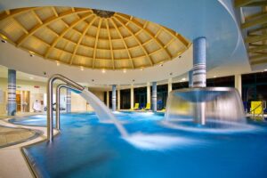 wellness1